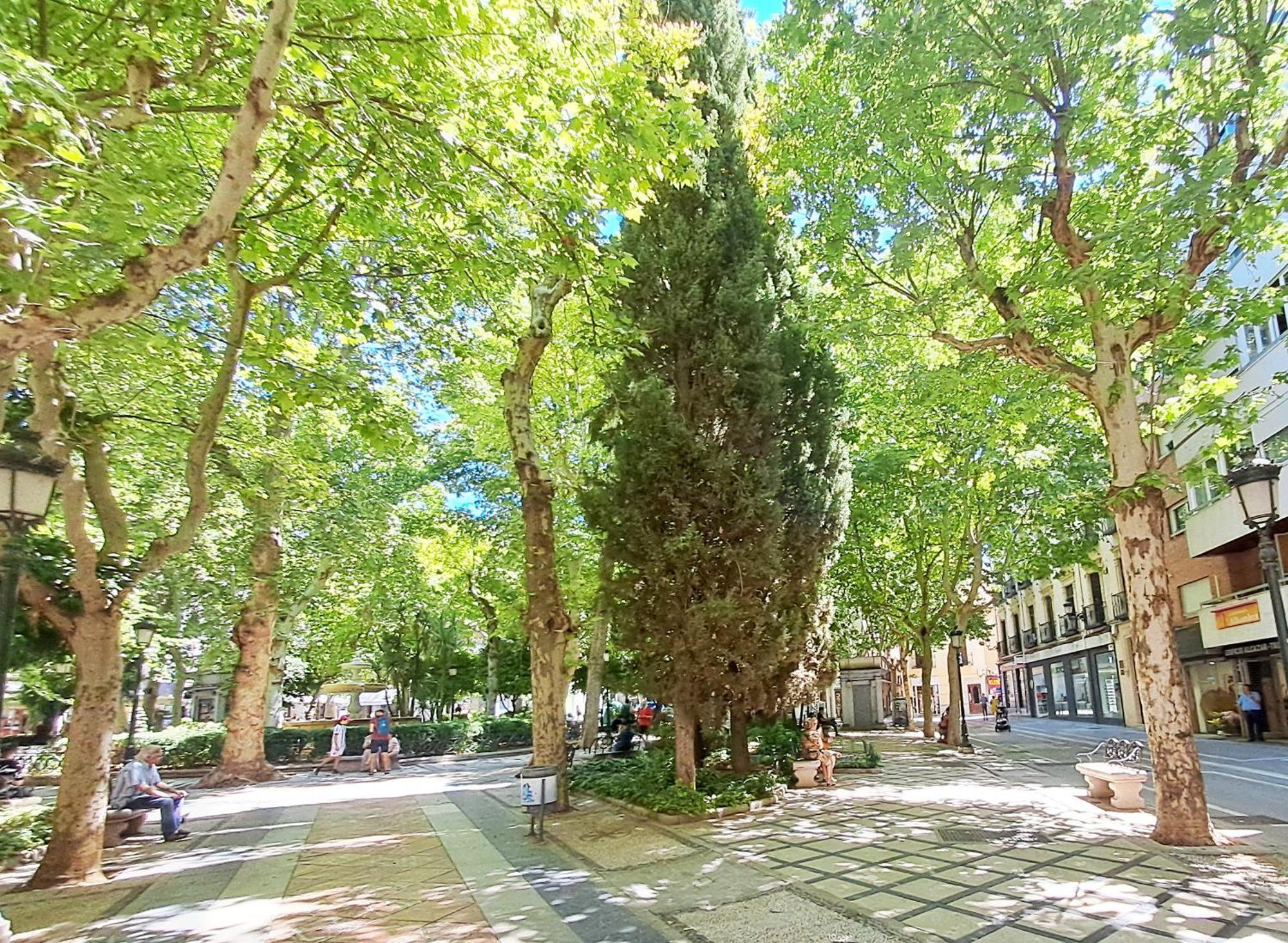 Apartasuite Centro Historico Atico Tranquilo Y Luminoso En El Corazon De Granada Eksteriør billede