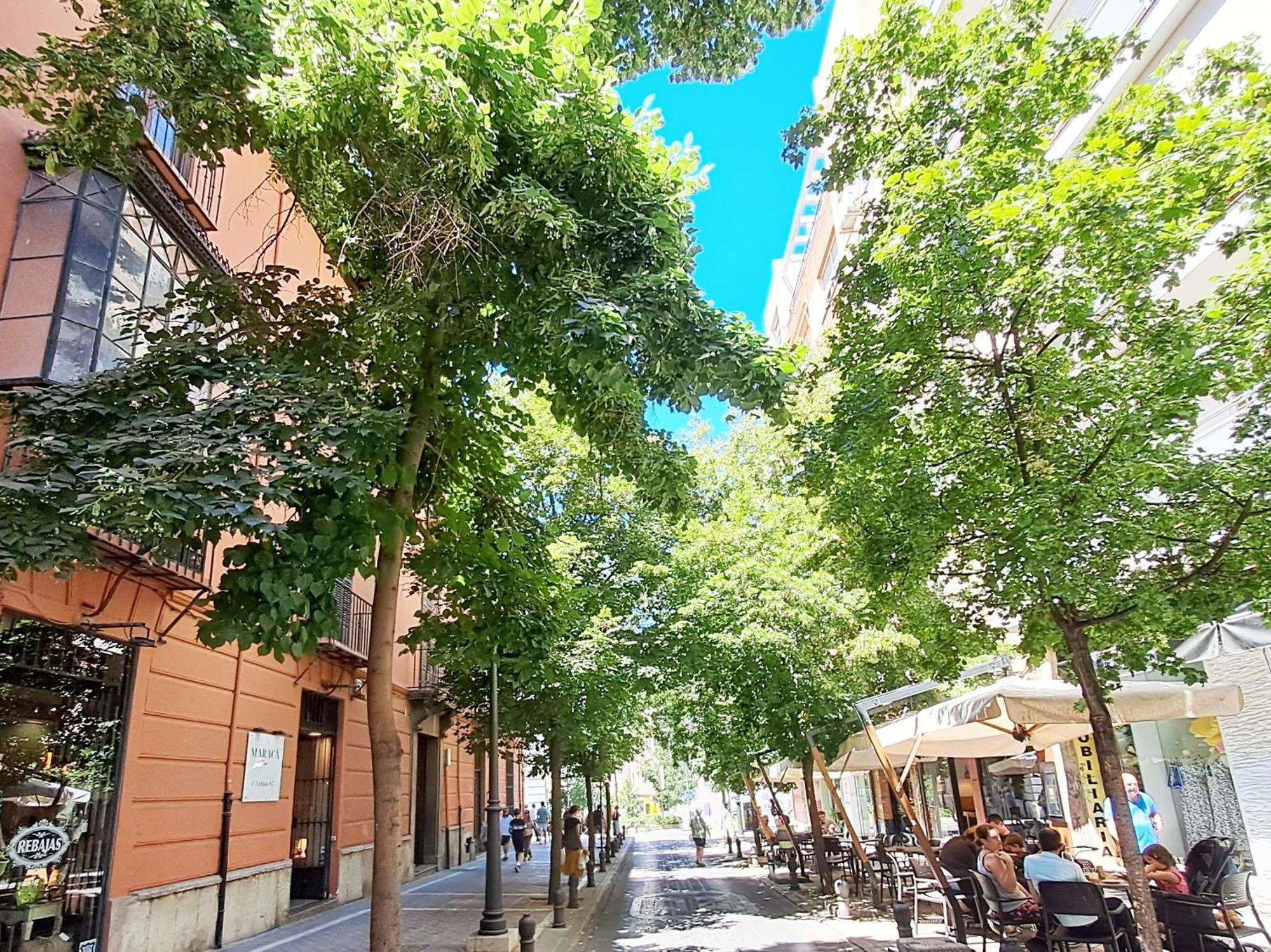 Apartasuite Centro Historico Atico Tranquilo Y Luminoso En El Corazon De Granada Eksteriør billede